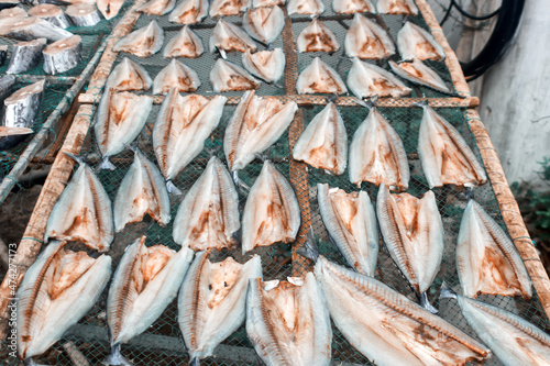 Scomber, mackerel. Sliced sea fish (splitting of fish ) wilts in the open air. Vietnam seafood photo