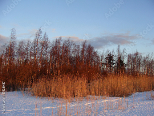 winter sunset