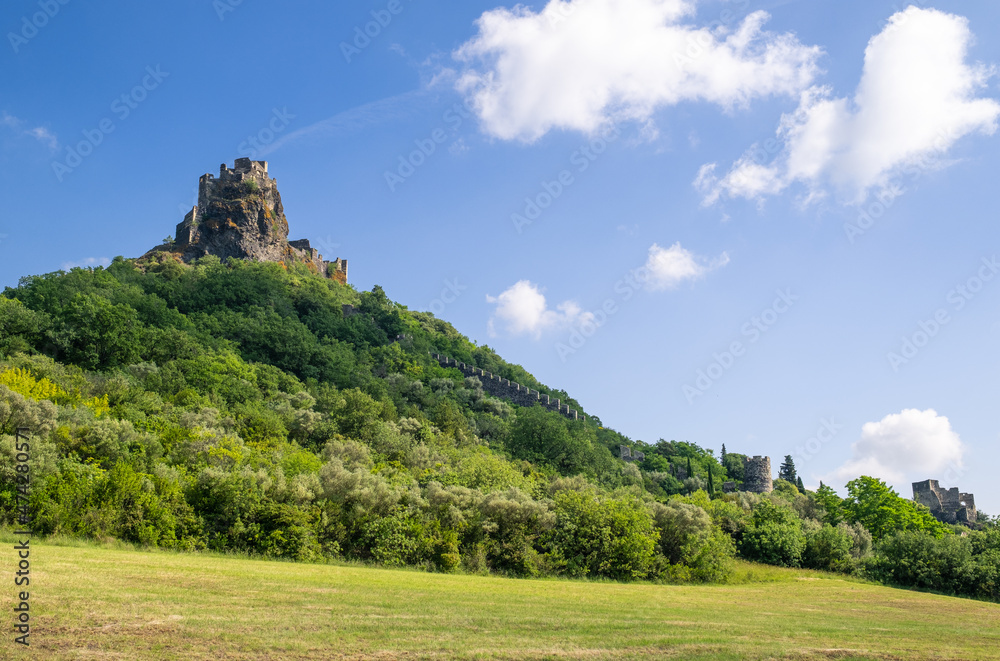France, Ardèche (07), le château de Rochemaure du XII siècle planté sur une cheminée volcanique.