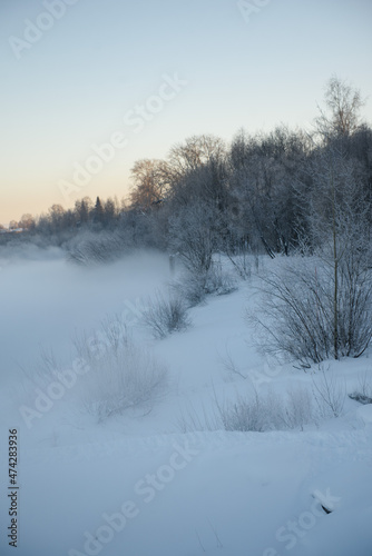 Northern frosty landscape. © Grigoriy