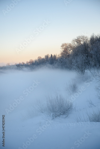 Northern frosty landscape. © Grigoriy