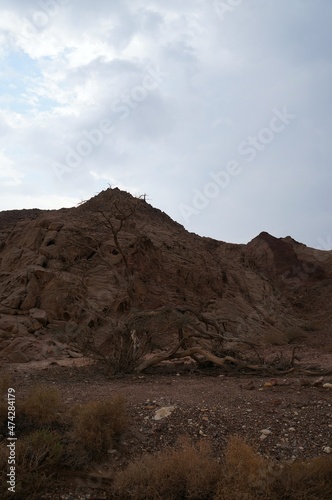 Hiking in twilight in Shehoret mountains, south Israel  photo