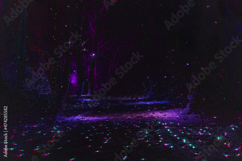 Illuminations of Lake Towada, winter story of light