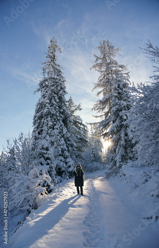 Woman enjoying sunny day in nature in snowy pine forest on carpathian mountains in Ukraine