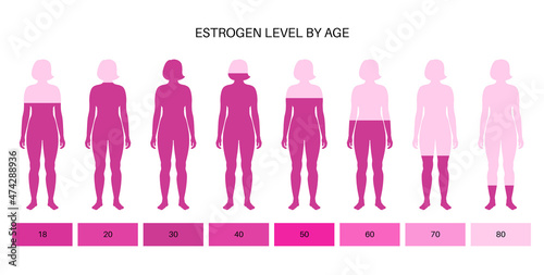 Testosterone estrogen level photo