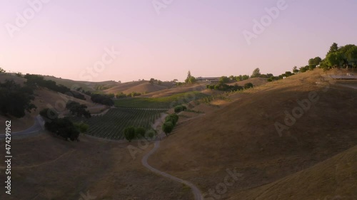 Incredible footage of a natural scenic California vineyard, featuring rolling hills and vast views of incredible lush grapes against a backdrop of golden mountain ranges.
