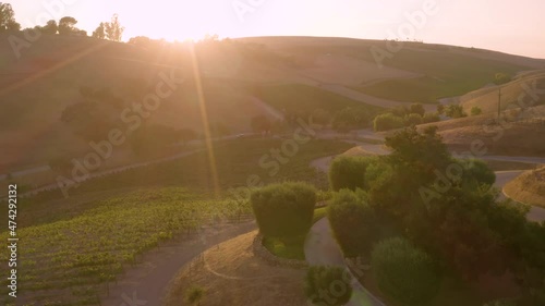 Incredible footage of a natural scenic California vineyard, featuring rolling hills and vast views of incredible lush grapes against a backdrop of golden mountain ranges.
