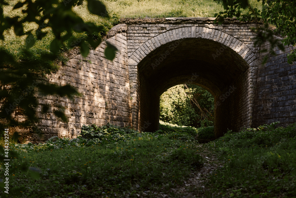 An old stone railroad tunnel in the middle of a green thicket