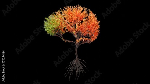 Tree in a shape of a human brain. Seasonal transition on black background. Eco Concept.