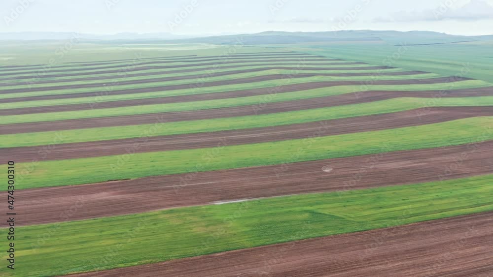 Agricultural fields, Khakassia, Aerial view, drone, Russia Agricultural fields, Khakassia, Aerial view, drone, Russia