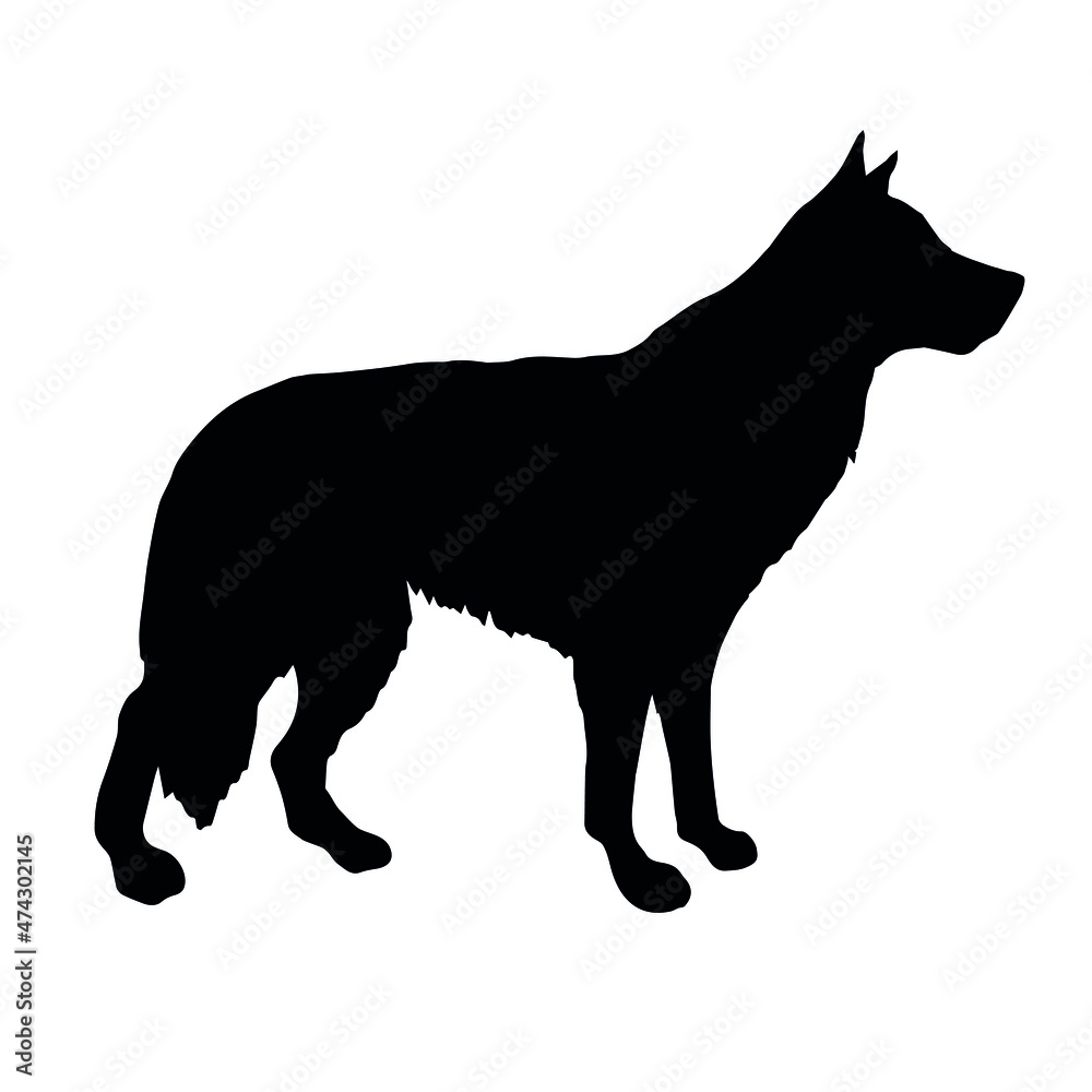 Vector hand drawn shepherd dog silhouette isolated on white background