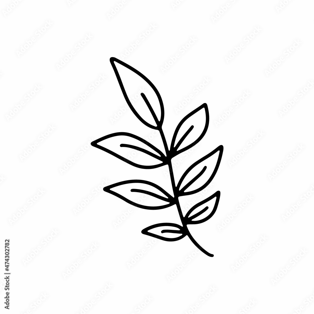 Vector hand drawn autumn leaf isolated on white background icon. Cute doodle fall leaf for seasonal design, textile, decoration for greeting card. Doodle coloring page for adult and kids. Ink line art