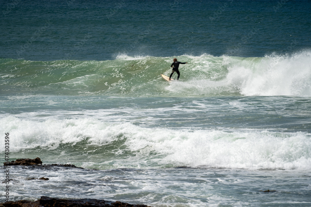 male surfer catching waves surfing at south coast beach on a bright warm sunny day on clear blue water male surfer catching waves surfing at south coast beach on a bright warm sunny day on clear blue water