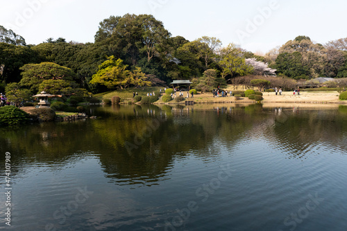 lake in the park, Japanese garden with a lake, garden in spring