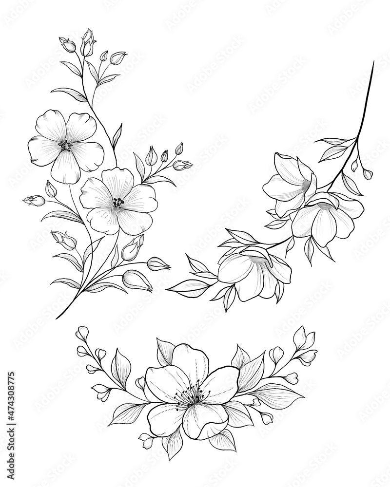 Hand drawn branch of sakura with blooms, flowers, leaves, petals ...