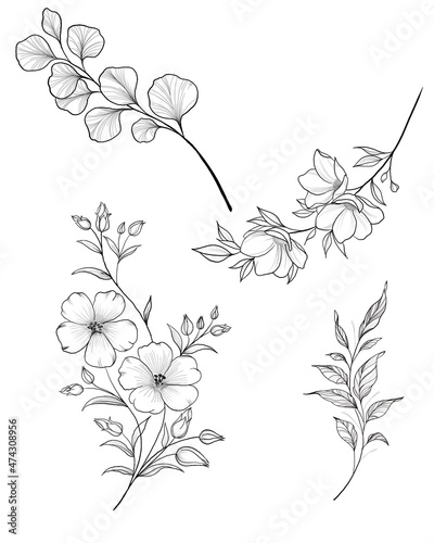 Hand drawn branch of sakura with blooms, flowers, leaves, petals. Modern line...