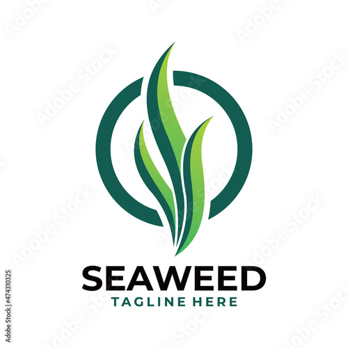 seaweed logo icon