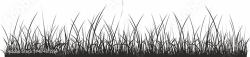 Vector monochrome grass. Curb from the shadows of the floods. Field silhouette 