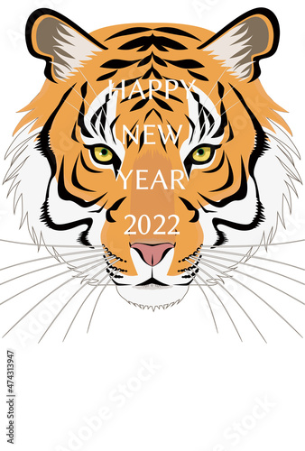2022                                             