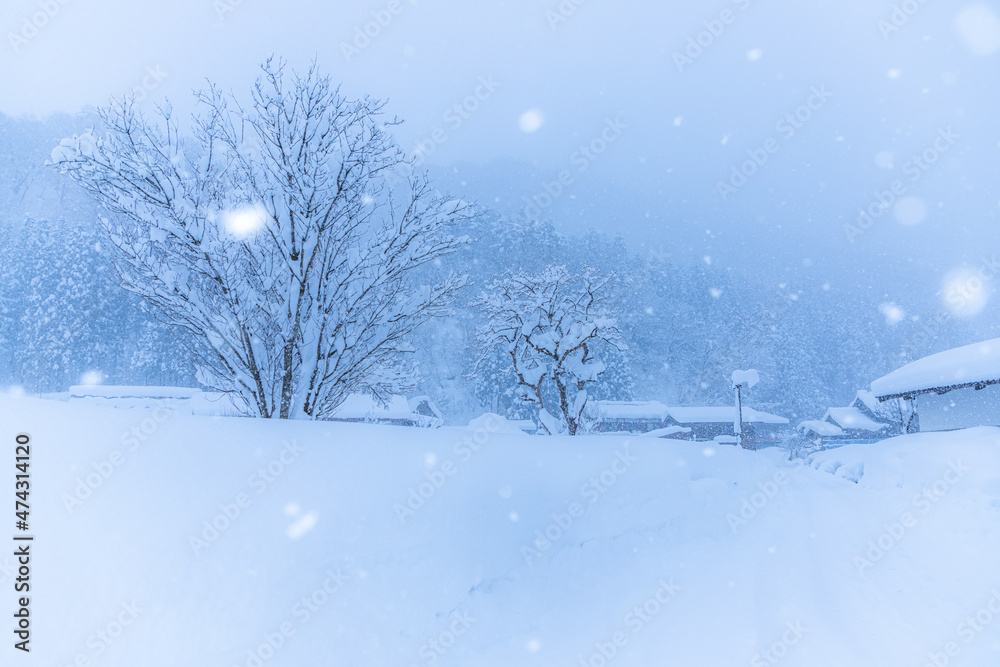 ゆきんこが出てきそうな、白川郷の降雪。