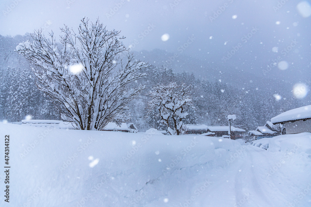ゆきんこが出てきそうな、白川郷の降雪。 ゆきんこが出てきそうな、白川郷の降雪。