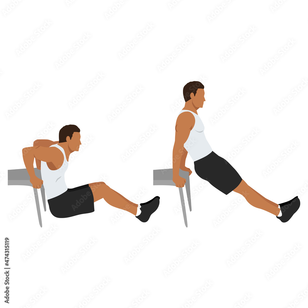 Man doing Chair. bench tricep dips exercise. Flat vector illustration
