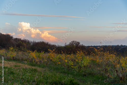 sunset over the field