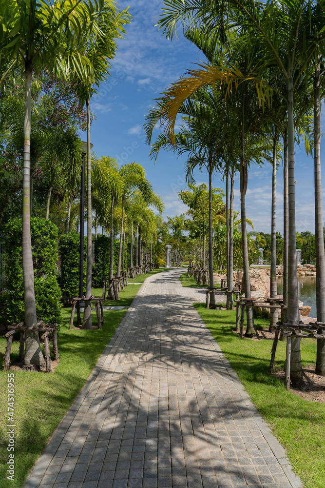 A path among palm trees in a public park.