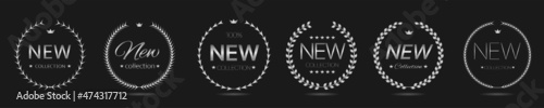 Fényképezés New collection silver laurel wreath label set