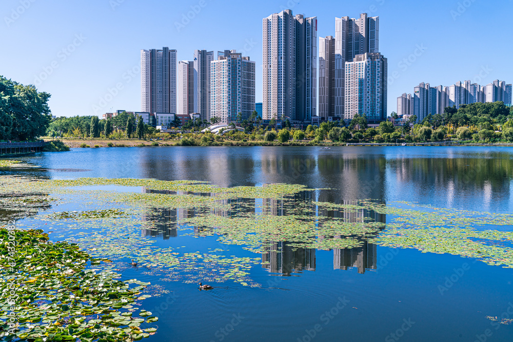 Fototapeta premium lake park in a city