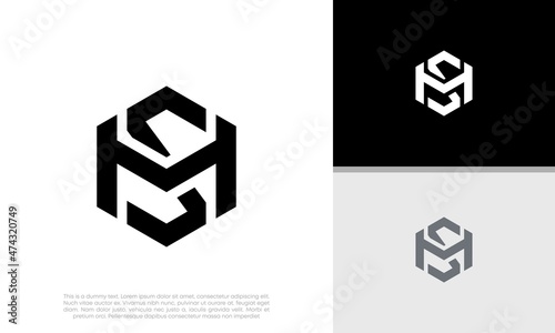 Initials MS. SM logo design. Initial Letter Logo. 