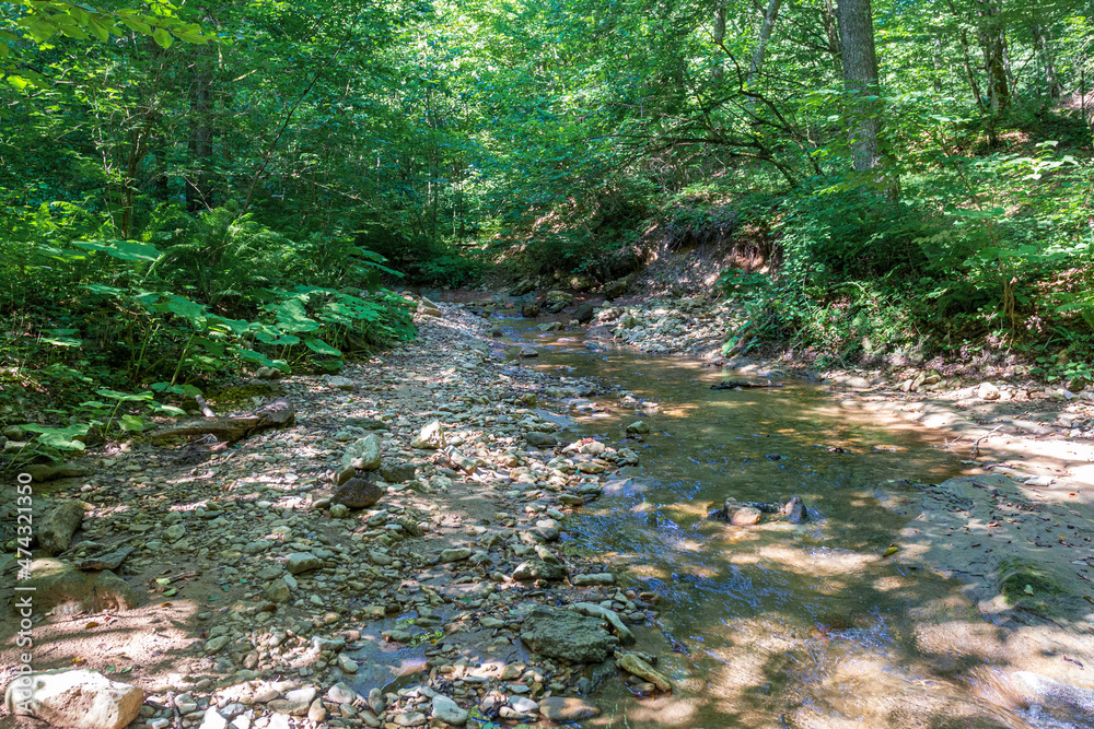 a journey along the bed of a mountain river, a summer day, a shallow bottom and stones warm up in sunlight. a journey along the bed of a mountain river, a summer day, a shallow bottom and stones warm up in sunlight.