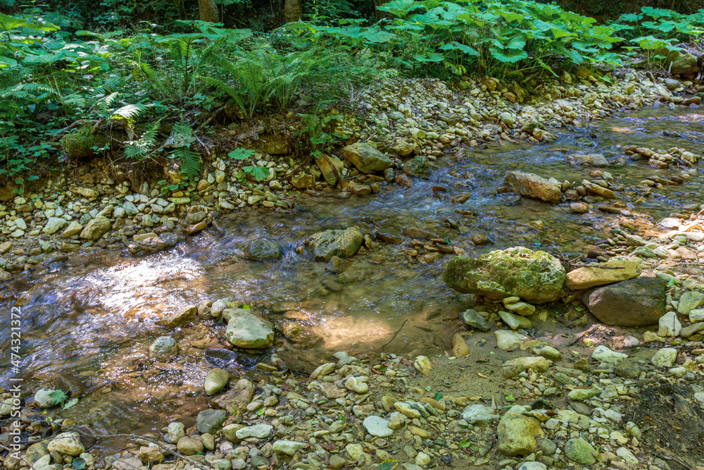 a journey along the bed of a mountain river, a summer day, a shallow bottom and stones warm up in sunlight. a journey along the bed of a mountain river, a summer day, a shallow bottom and stones warm up in sunlight.