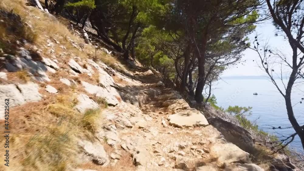 This is a forest path in Croatia that leads to a secluded beach. Wander along the path and discover your own path to the beach. This is a forest path in Croatia that leads to a secluded beach. Wander along the path and discover your own path to the beach.