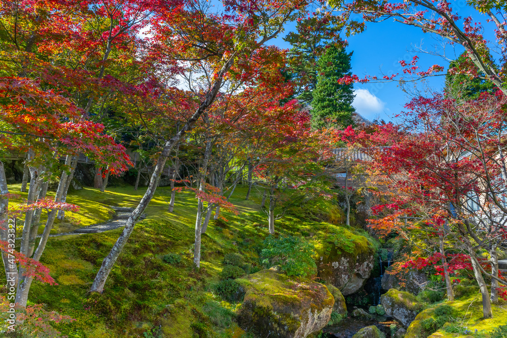 紅葉の箱根美術館　神奈川県箱根町