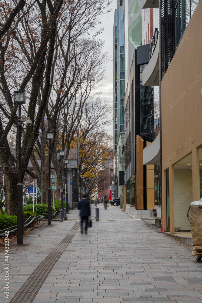 Obraz premium 表参道の風景