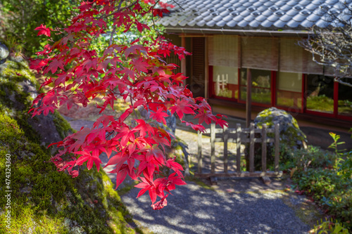 Leinwand Poster 紅葉と日本家屋　神奈川県箱根町　箱根美術館　
