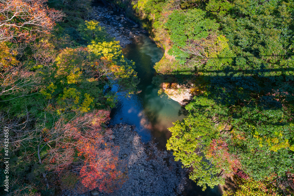 神奈川県箱根町 出山峡谷 神奈川県箱根町 出山峡谷