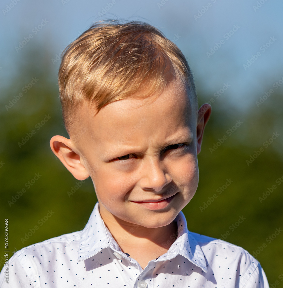 Portret 6 letniego chłopca w słoneczny, letni dzień - obrazy, fototapety, plakaty 