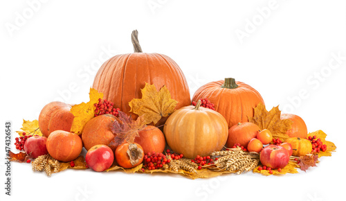 Composition from autumn vegetables. Pumpkins isolated on white background