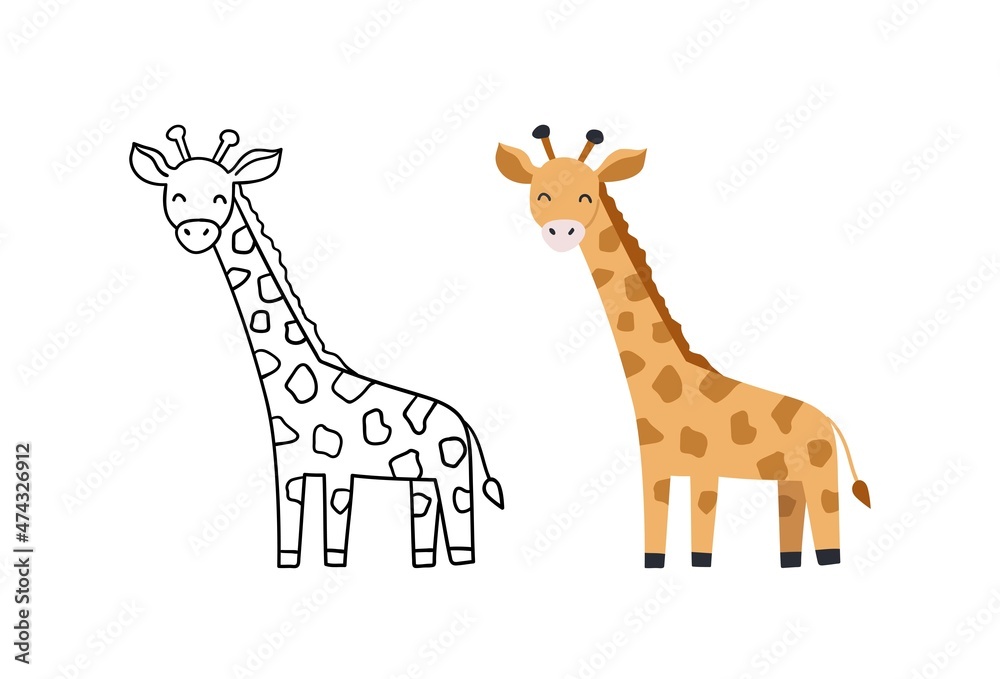 Obraz premium Vector hand-drawn illustration with giraffe. Cute funny animal. Contour and color version.