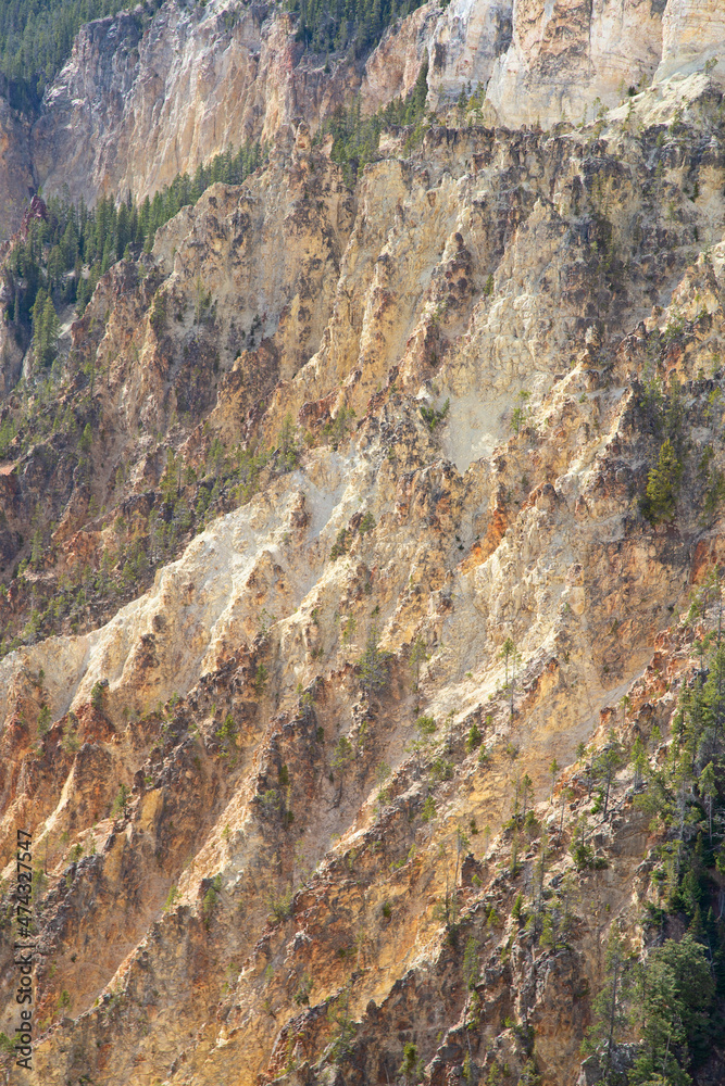 Yellowstone canyon