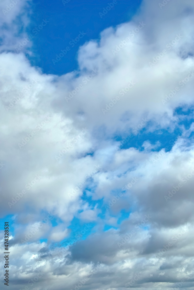 Obraz premium 青空と白い雲