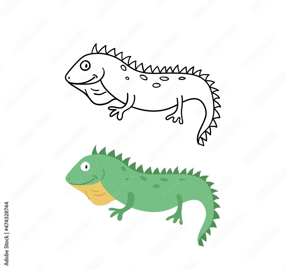 Fototapeta premium Vector hand-drawn illustration with iguana. Cute funny animal. Contour and color version.