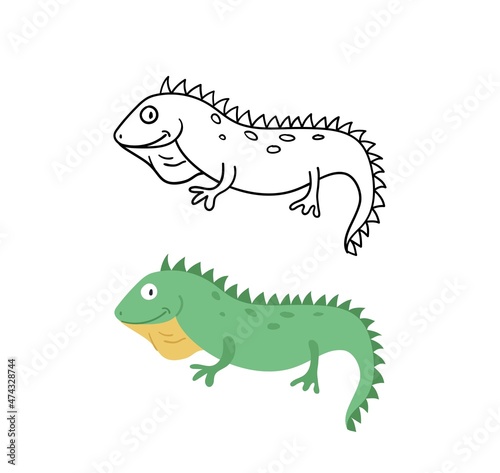 Vector hand-drawn illustration with iguana. Cute funny animal. Contour and color version.