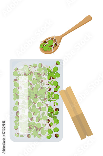 fresh broccoli sprout in jar with a spon