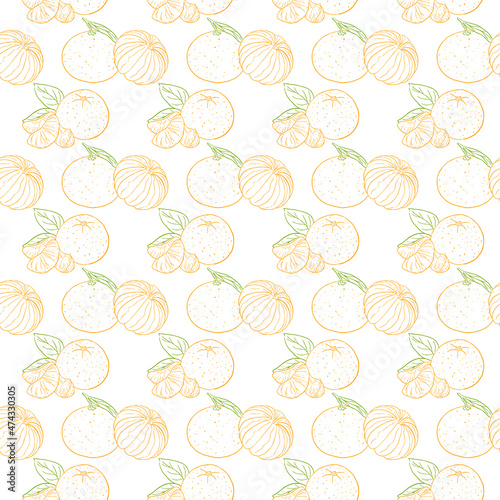 pattern outline of a colored tangerine. Vector illustration