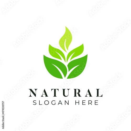 Fresh Leaf Beauty and Spa Logo Concept