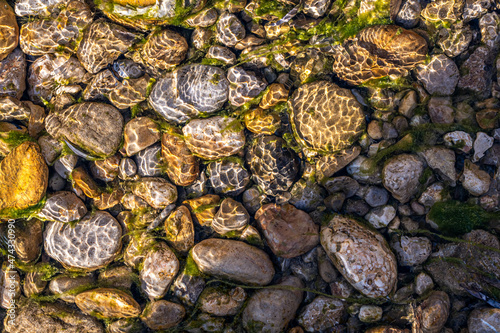 Fototapeta Naklejka Na Ścianę i Meble -  multi colorful stones under the clean water. 