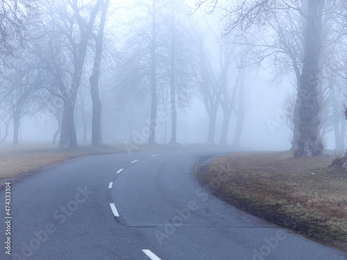 Automobile road in heavy fog. Dangerous turn